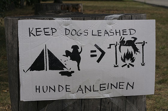 warnung dem hunde